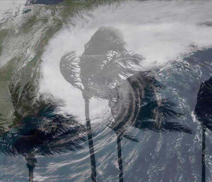 Palm trees blowing in the wind with hurricane on map
