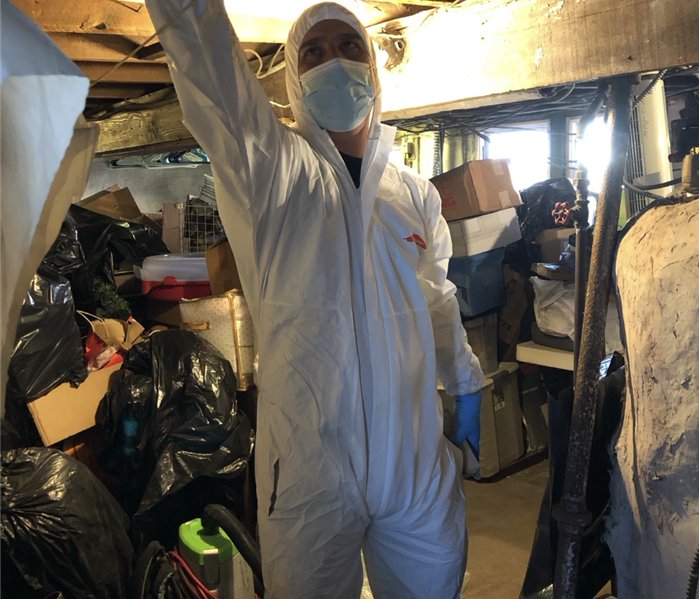 Mold Cleanup
