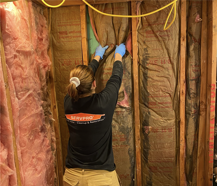 removing ruined insulation