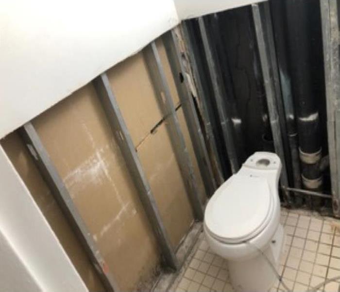 white walls cut toilet snake